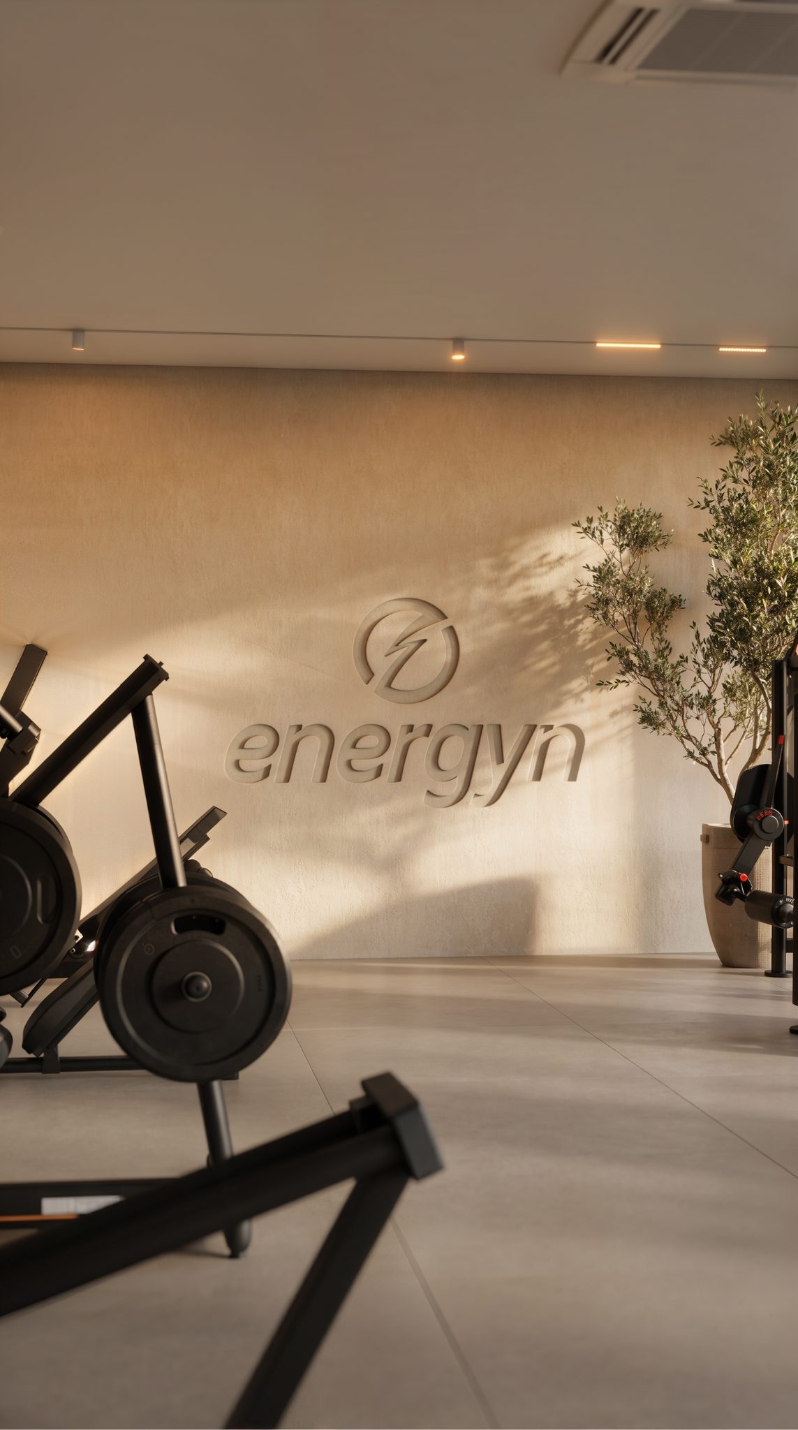 Academia Energyn