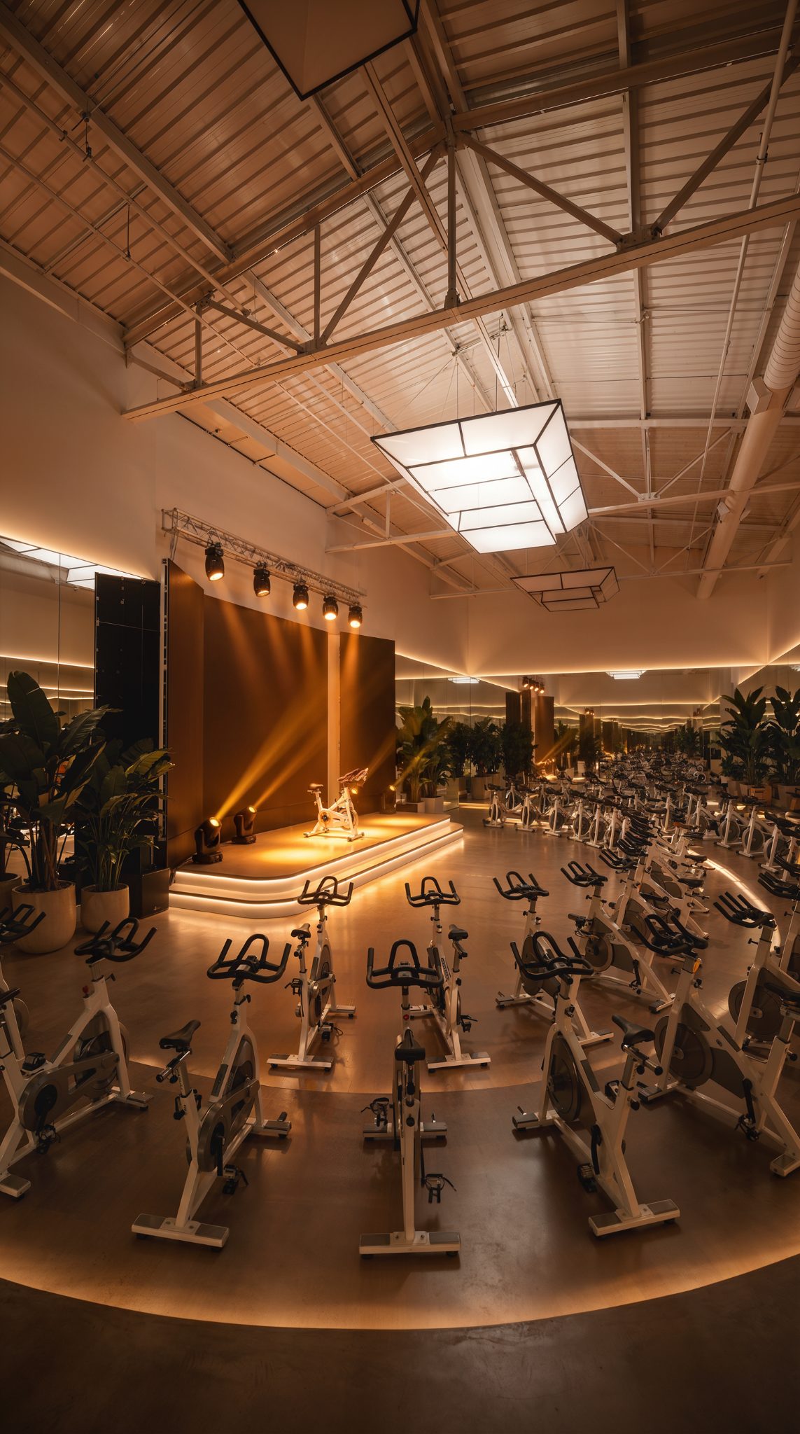 AS Wellness Gym
